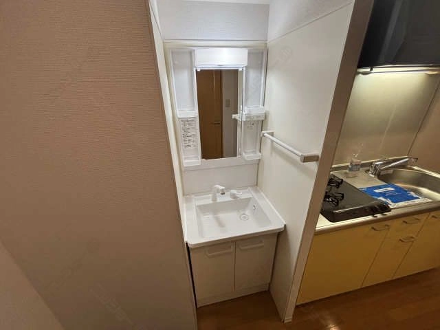 シャンプードレッサー