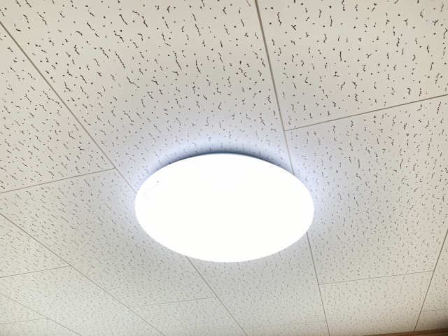 照明※プレゼント