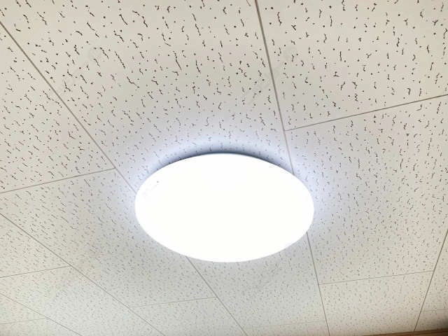 照明※プレゼント