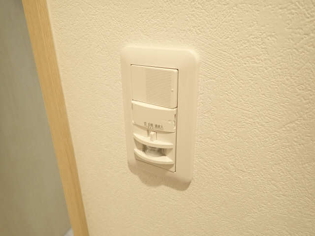 玄関人感センサーライト