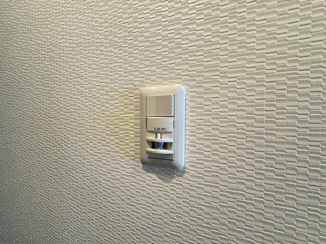 玄関人感センサーライト