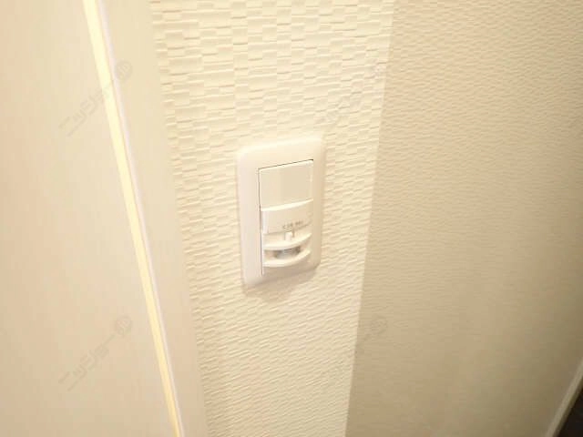 玄関人感センサーライト