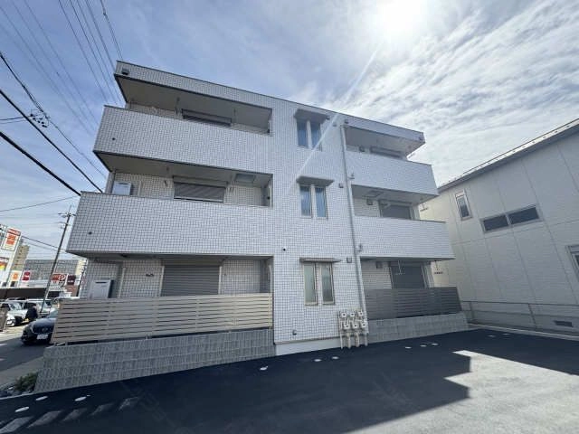 外眼