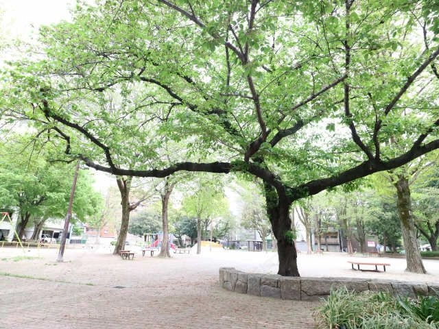 公園