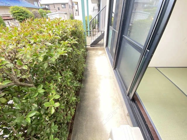 庭