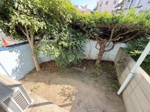 庭