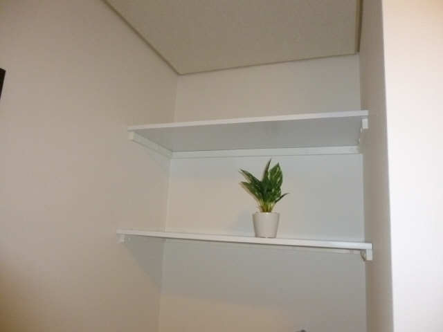 洗濯機置場上部