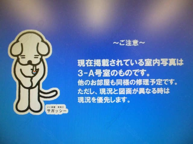 写真についてご注意