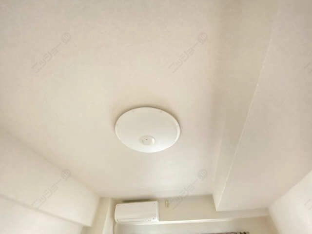  照明
