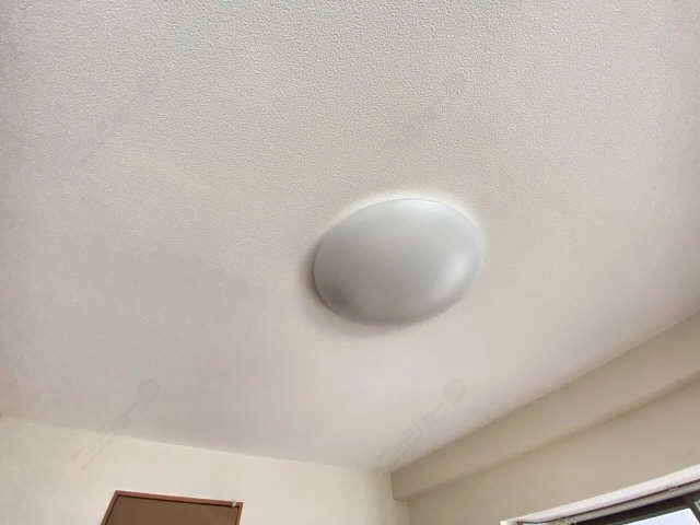 照明