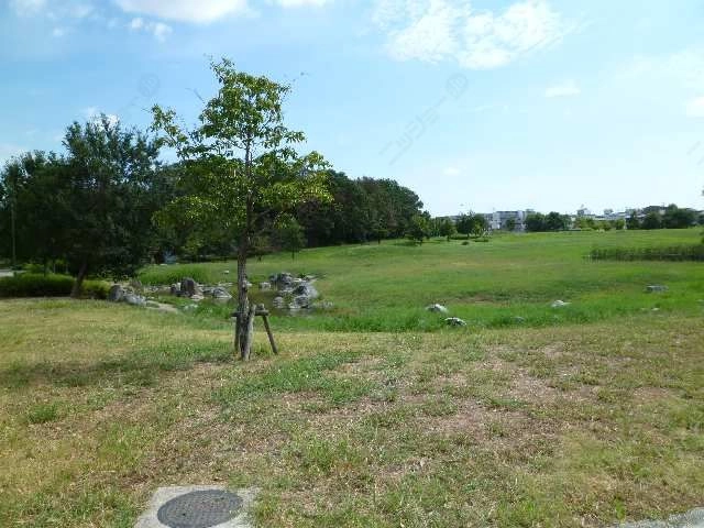 天白公園