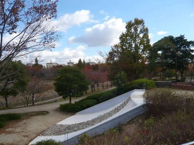 細口池公園4分