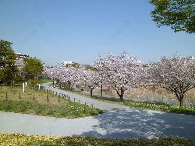 細口池公園歩2分