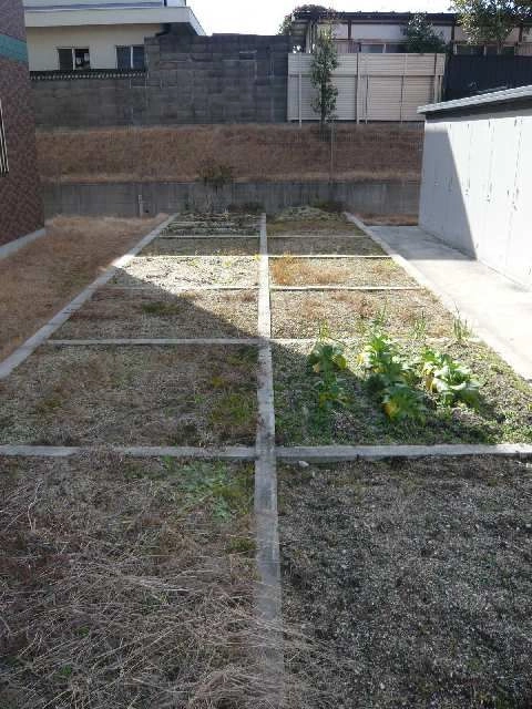 家庭菜園スペース