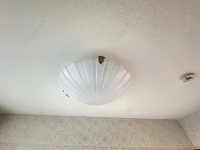 照明
