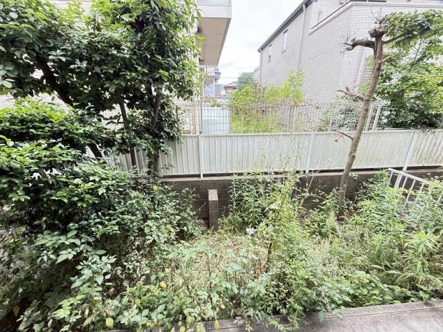 庭
