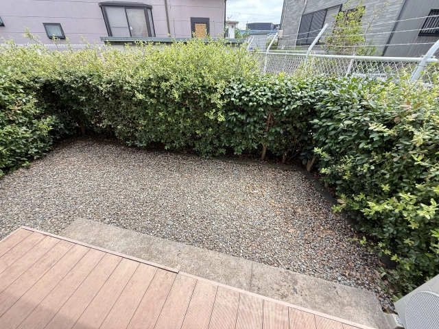 庭