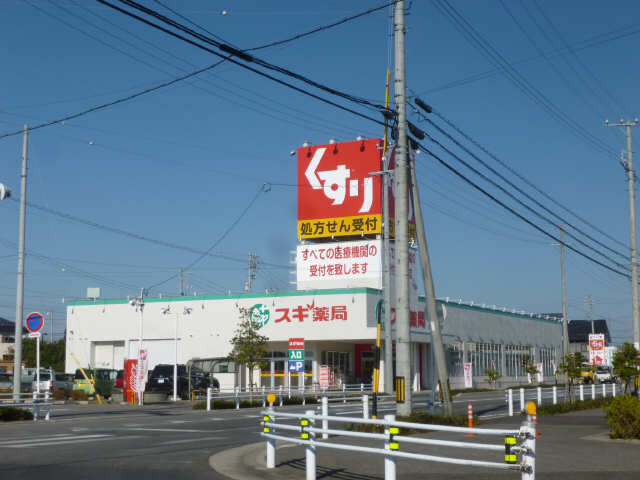 スギ薬局住吉町店