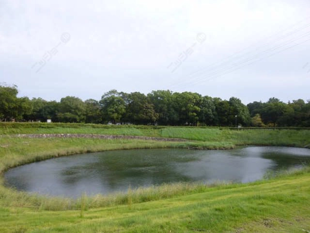 秋葉公園