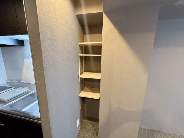棚