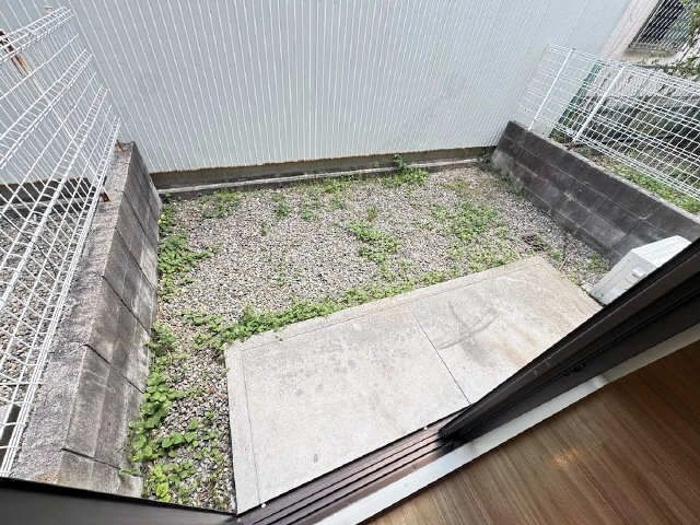 庭