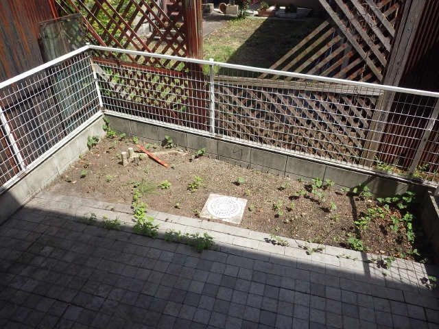 庭