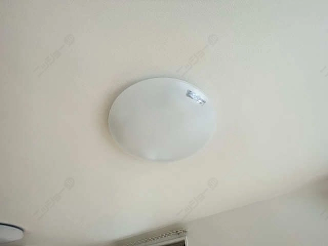 照明