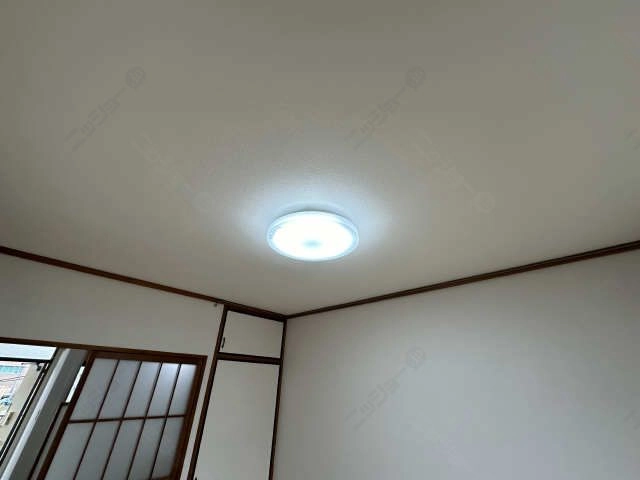 照明