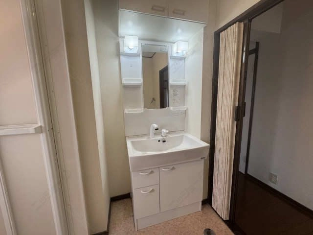 シャンプードレッサー