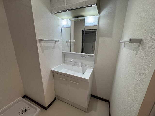 シャンプードレッサー