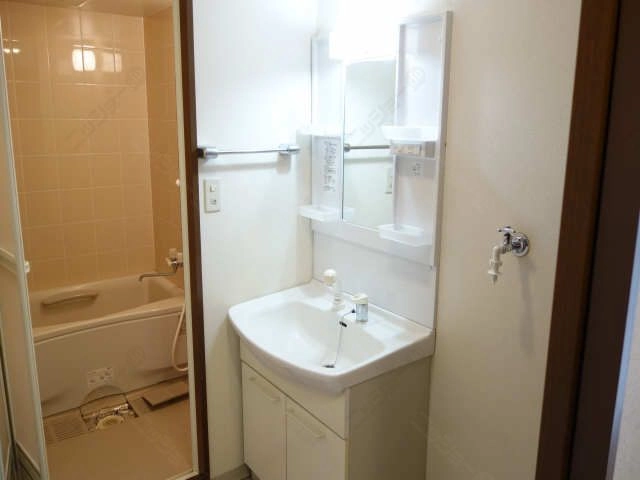 シャンプードレッサー