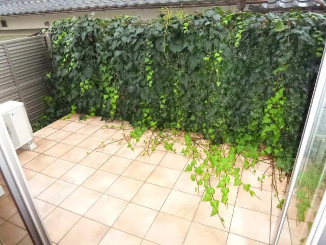 専用庭