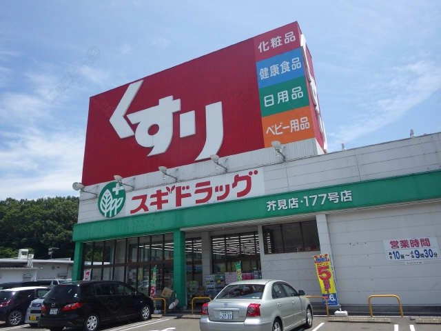 ドラッグストア