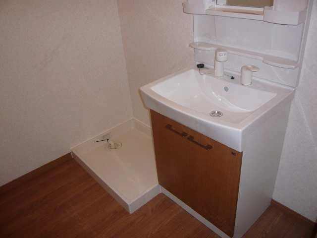 ｼｬﾝﾌﾟｰﾄﾞﾚｯｻｰ