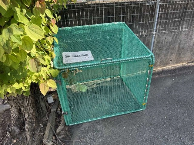 ゴミ置き場
