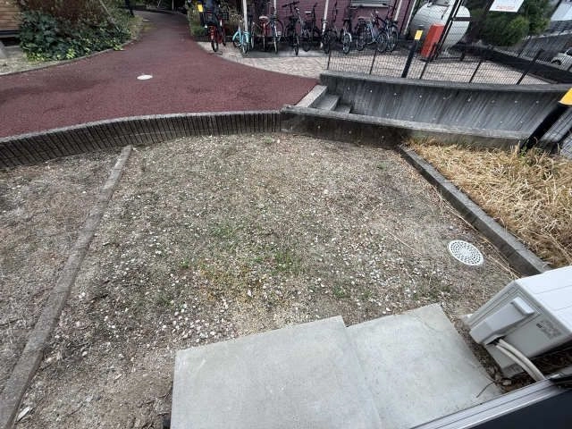 庭