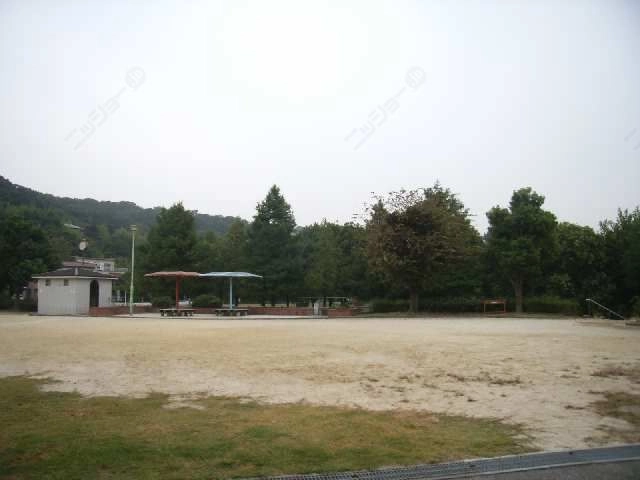 目の前の公園