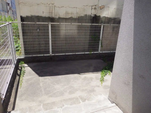 庭