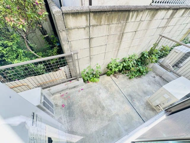 庭