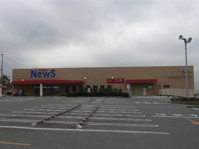 フィールニュース