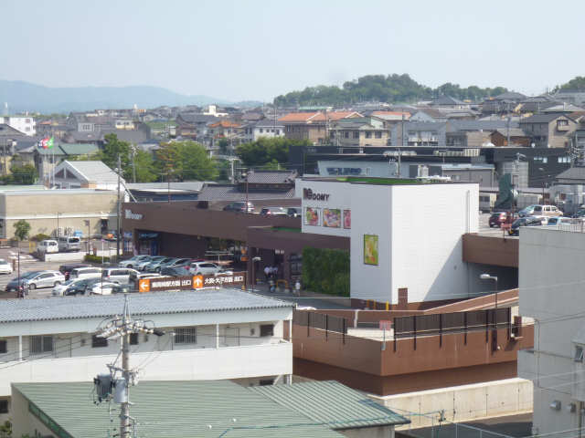 ドミー竜美丘店