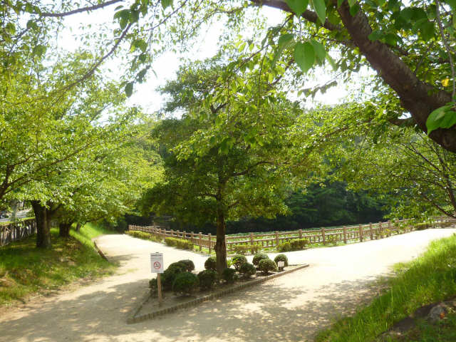 竜美ケ丘公園