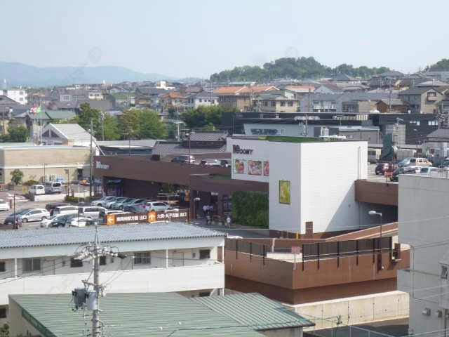 ドミー竜美丘店