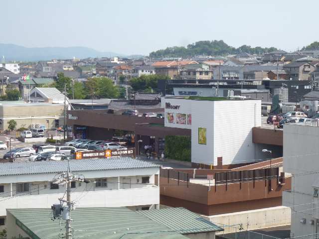 ドミー竜美丘店