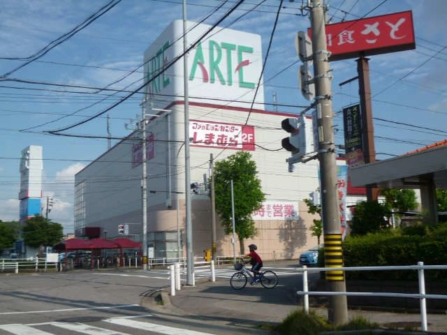 アルテヤマナカ