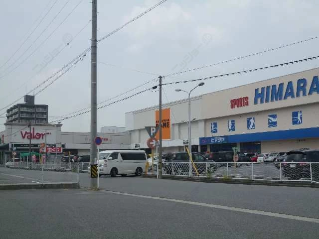 バロー&ヒマラヤ