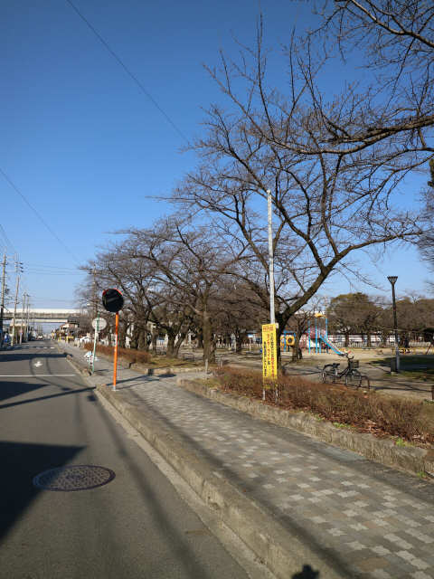 公園