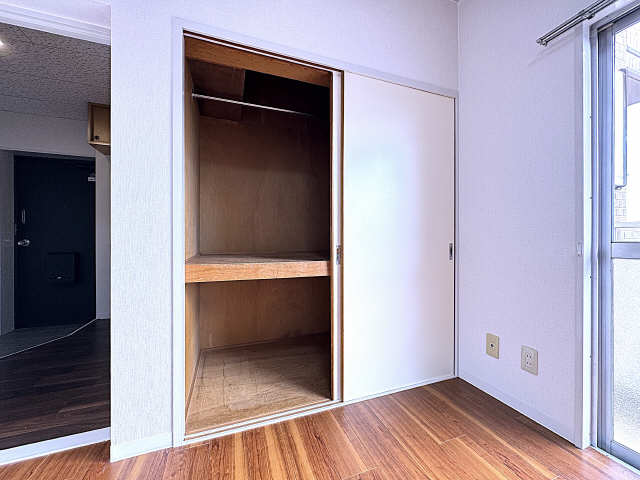 南西洋室・収納