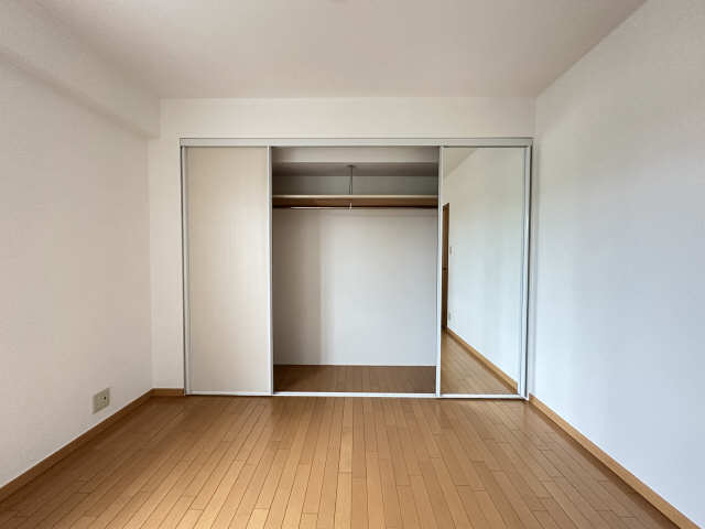 収納(東洋室中部屋)