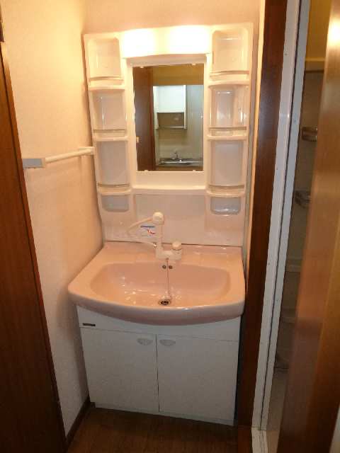 シャンプードレッサー